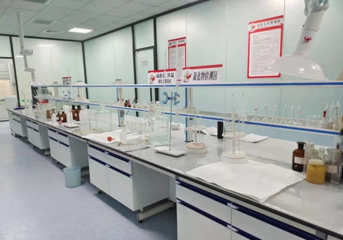 河北邢臺(tái) “小巨人”成香餑餑，領(lǐng)跑產(chǎn)業(yè)技術(shù)開發(fā)加速度